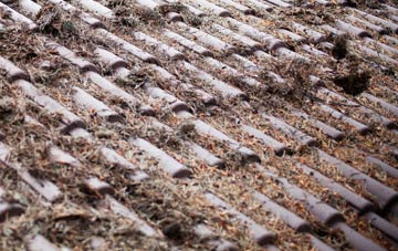 Burgh Hill roof cleaning companies